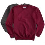 Hanes sweat shirt
    10 oz. All colors are a poly/cotton blend
    Comfortable low-pill fleece fabric
    Spandex-ribbed cuffs and waistband for comfort

Sizes & Fit

S-3XL. Generous fit 